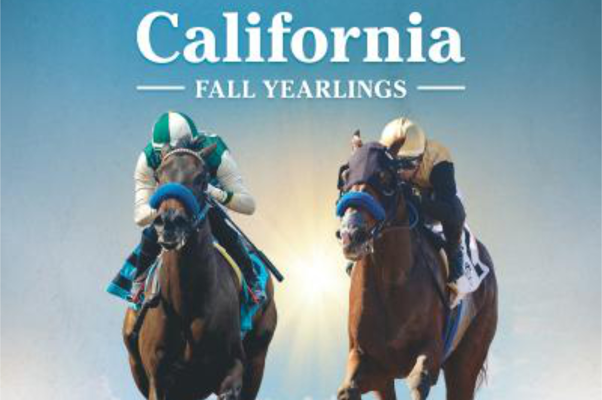 2026 Fasig-Tipton Fall Catalog